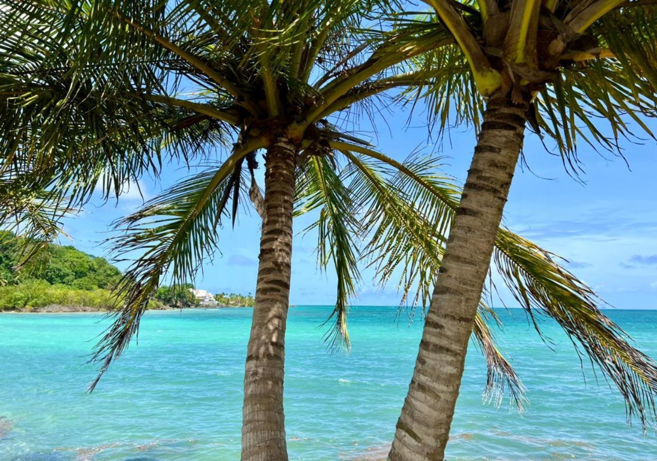 Jolie Petite Villa Sur Une Presqu'Ile Le Gosier  Buitenkant foto