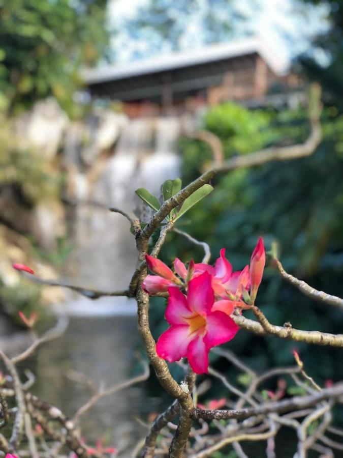 Jolie Petite Villa Sur Une Presqu'Ile Le Gosier  Buitenkant foto