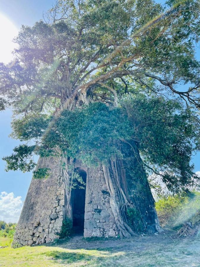 Jolie Petite Villa Sur Une Presqu'Ile Le Gosier  Buitenkant foto